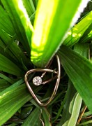 Sensommer Ring 2018, den nye diamantring i rødt guld